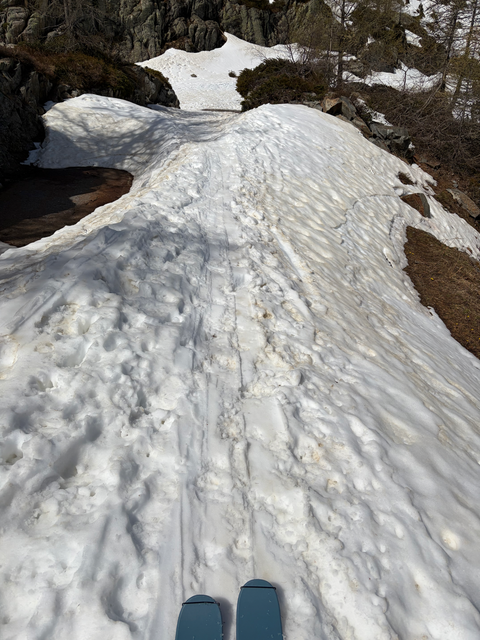 Skis on snow